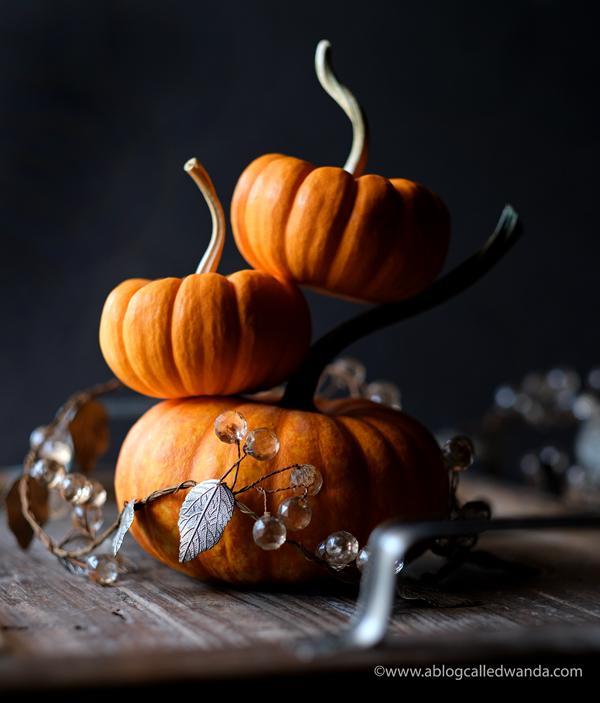 Fall photography. Pumpkins and home decor for Autumn. Wanda Guess. A Blog Called Wanda