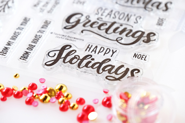 taylored expressions, card kit, very merry, merry blooms card kit, christmas card kit, poinsettia, stencils, stamps, christmas cards, stamping, diy, make your own cards, taylored expressions stamps, blender brushes, wanda guess, a blog called wanda