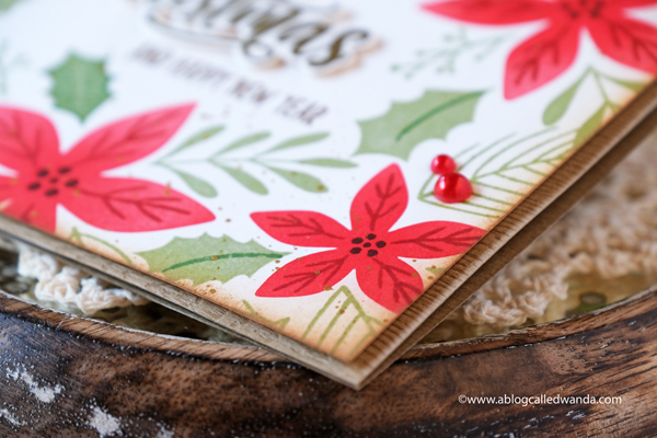 taylored expressions, card kit, very merry, merry blooms card kit, christmas card kit, poinsettia, stencils, stamps, christmas cards, stamping, diy, make your own cards, taylored expressions stamps, blender brushes, wanda guess, a blog called wanda