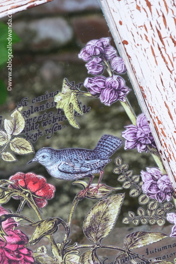 iron orchid designs, iron orchid transfers, iron orchid transfers on windows, antique windows, diy window project, craft class, iron orchid flowers, diy, home decor, wanda guess