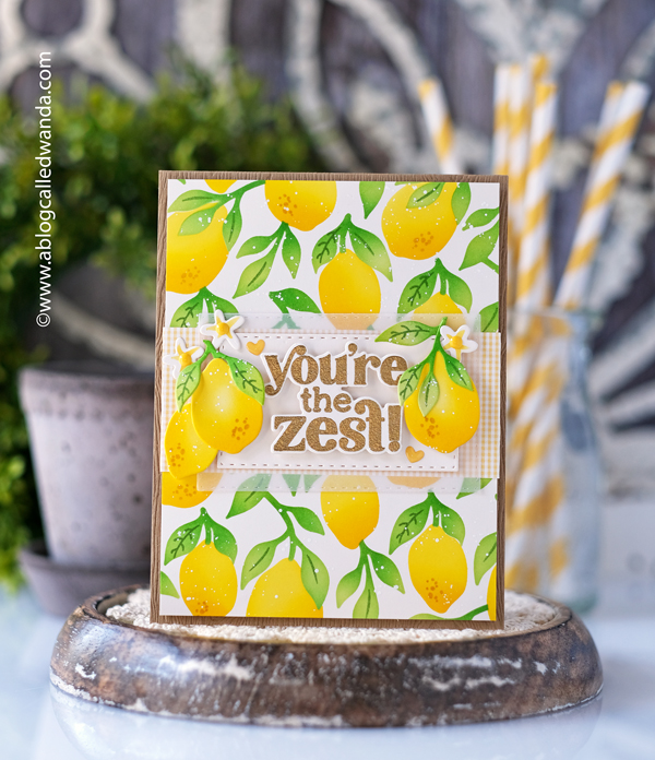 taylored expressions, taylored expressions stamps and dies, squeeze the day, lemons, stencils, embossing, vellum, gingham, inks, card ideas, lemon cards, card layout ideas, scrapbooking, lemon stencil, wanda guess, a blog called wanda