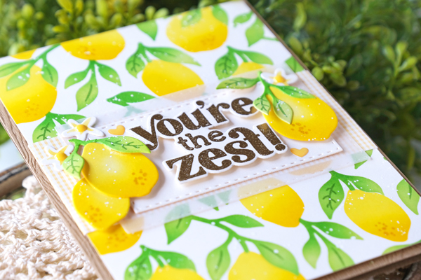 taylored expressions, taylored expressions stamps and dies, squeeze the day, lemons, stencils, embossing, vellum, gingham, inks, card ideas, lemon cards, card layout ideas, scrapbooking, lemon stencil, wanda guess, a blog called wanda