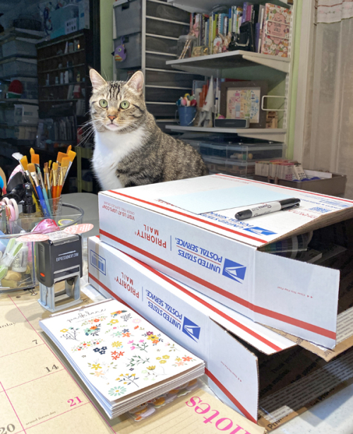 Lucky and packages