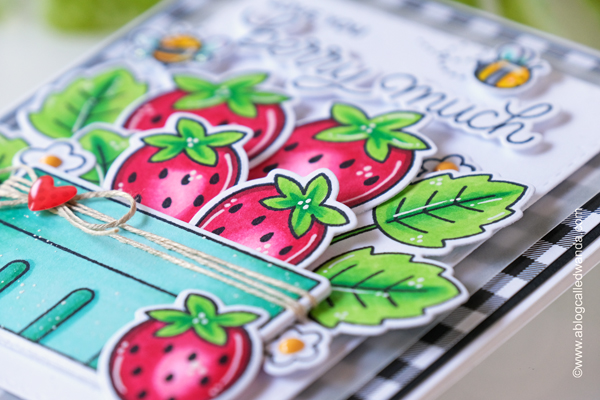 pretty pink posh, pretty pink posh stamps and dies, fruit cards, copic markers, card making ideas, wanda guess, a blog called wanda, summer crafts, diy cards, pop up card, pretty pink posh watermelon stamps, pretty pink posh citrus stencil, citrus stamps, pretty pink posh mini scallop card, sweet cherries, ink blending gingham, doodlebug paper