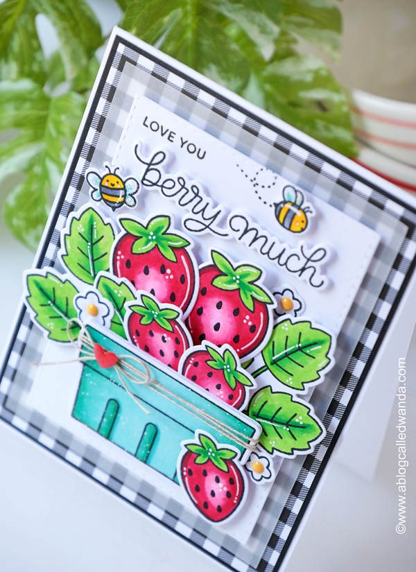 pretty pink posh, pretty pink posh stamps and dies, fruit cards, copic markers, card making ideas, wanda guess, a blog called wanda, summer crafts, diy cards, pop up card, pretty pink posh watermelon stamps, pretty pink posh citrus stencil, citrus stamps, pretty pink posh mini scallop card, sweet cherries, ink blending gingham, doodlebug paper