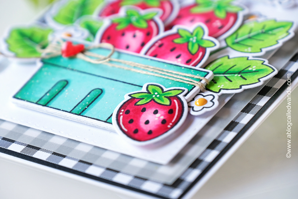 pretty pink posh, pretty pink posh stamps and dies, fruit cards, copic markers, card making ideas, wanda guess, a blog called wanda, summer crafts, diy cards, pop up card, pretty pink posh watermelon stamps, pretty pink posh citrus stencil, citrus stamps, pretty pink posh mini scallop card, sweet cherries, ink blending gingham, doodlebug paper