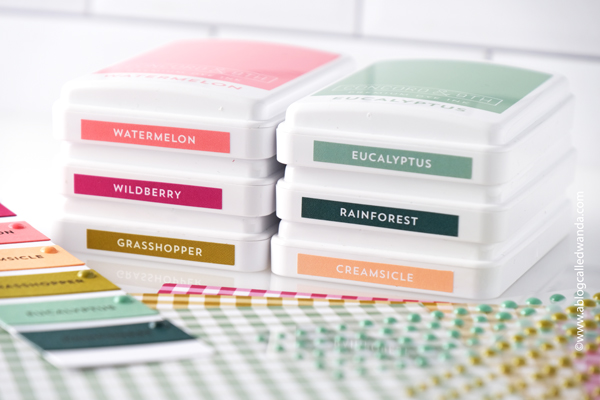 concord and 9th, concord & 9th, new colors, 2024 colors, concord and 9th primrose garden, gingham, concord and 9th everyday expressions, concord and 9th contempo turnabout, turnabout stamps, flowers, handmade card ideas, butterfly dies, whimsical wings concord and 9th, stencils, birthday cards, diy, crafts, wanda guess, a blog called wanda