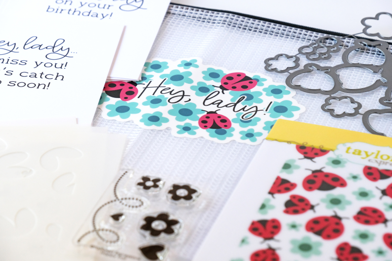 taylored expressions card kit, taylored expressions stamps and dies, taylored expressions hey lady, ladybug card, cute card, stencils, wanda guess, a blog called wanda