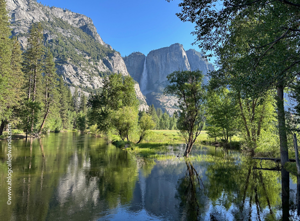yosemite california, national park, waterfalls, northern california, yosemite falls, tunnel view, big trees, merced river, half dome, cathedral, sight seeing, where to go in california, wanda guess, a blog called wanda, photography