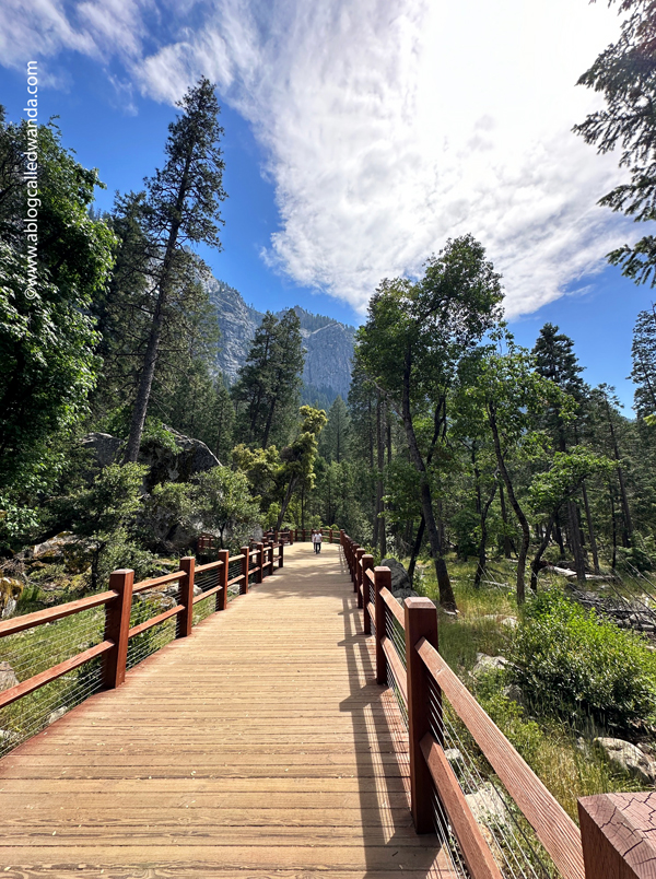 yosemite california, national park, waterfalls, northern california, yosemite falls, tunnel view, big trees, merced river, half dome, cathedral, sight seeing, where to go in california, wanda guess, a blog called wanda, photography